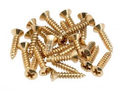 FENDER Pickguard Screws Gold