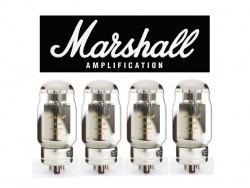 TAD Marshall KT88 VLVE-00080, Gold-Label, QUARTET