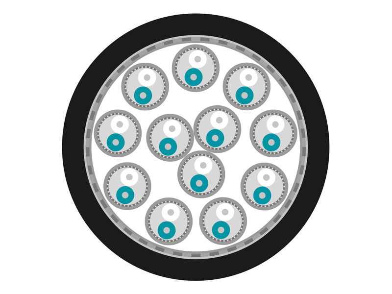 Sommer Cable 100-0401-12 TRANSFER AMCK 12 HIGHFLEX | 12 párů - 03
