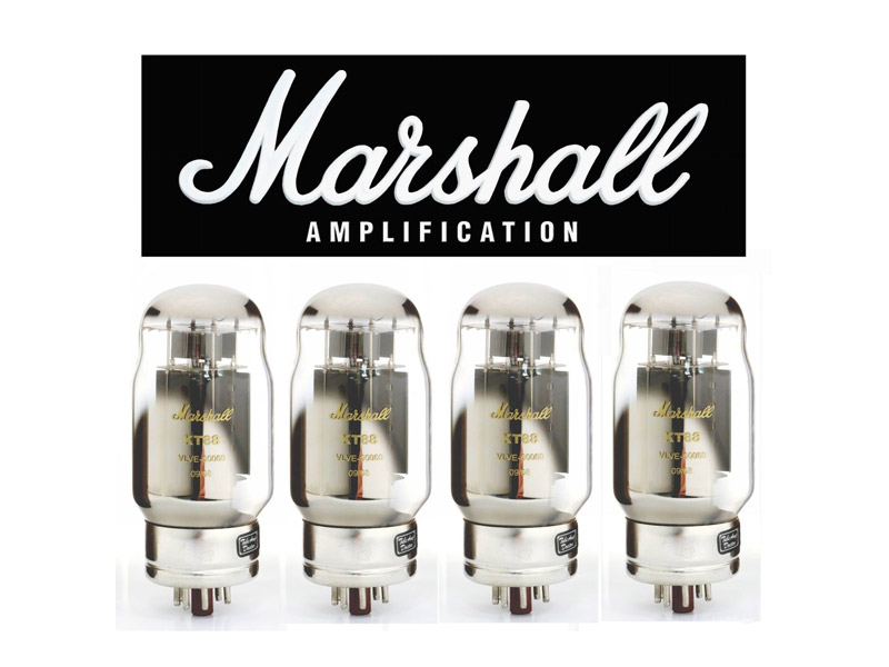 TAD Marshall KT88 VLVE-00080, Gold-Label, QUARTET | Popruhy - 01