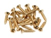 FENDER Pickguard Screws Gold | Ostatní - 01