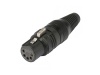 HICON HI X5CF-G | Samice - 01