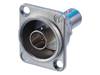NEUTRIK NBB75DFG | Samice - 01